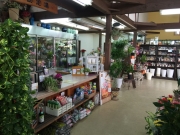 岡山県総社市の花屋　フラワー＆グリーン　フミーズハウス